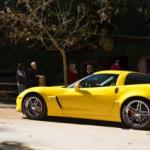 Cambria_0163 (November 02, 2012)